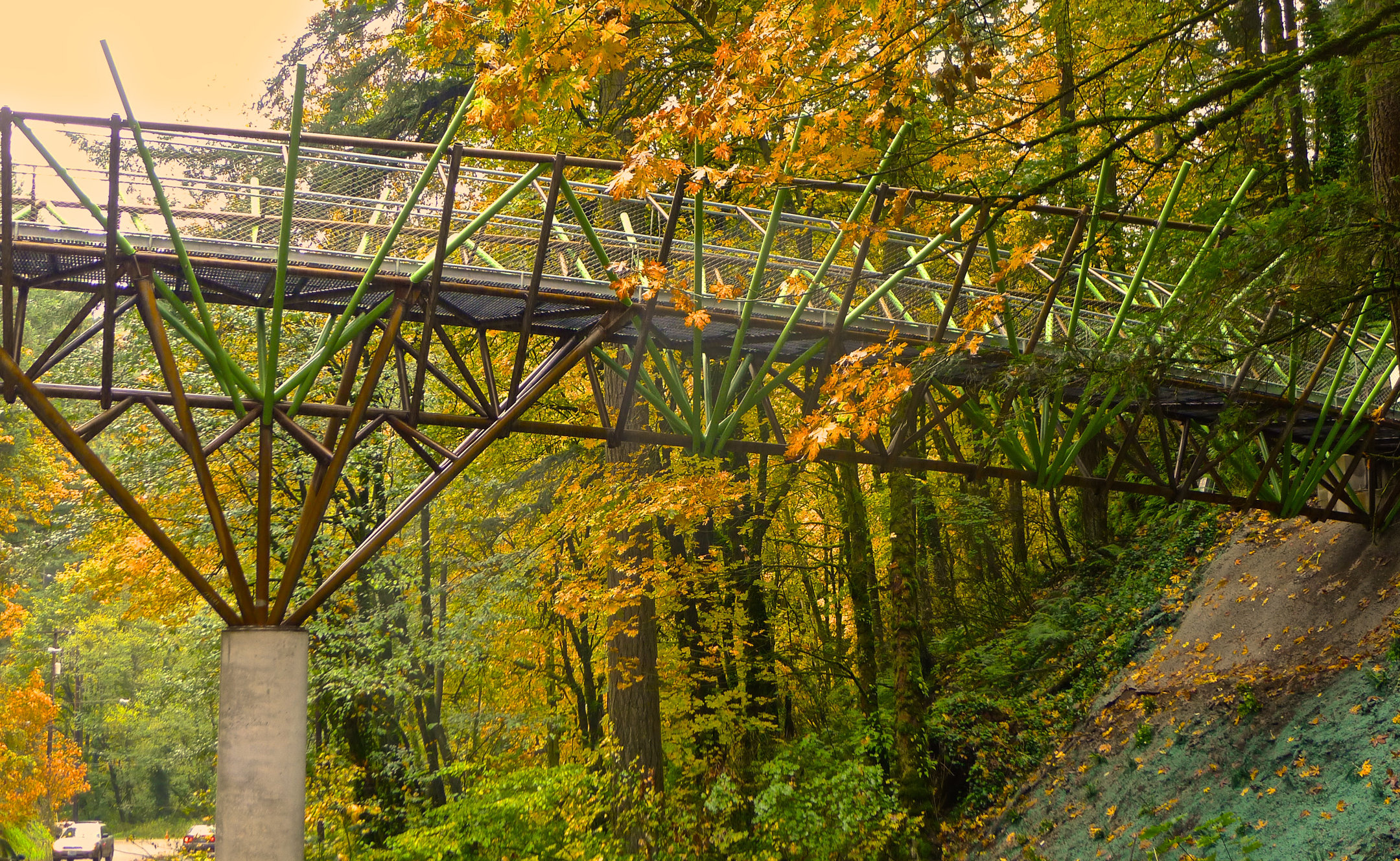 Barbara Walker Crossing