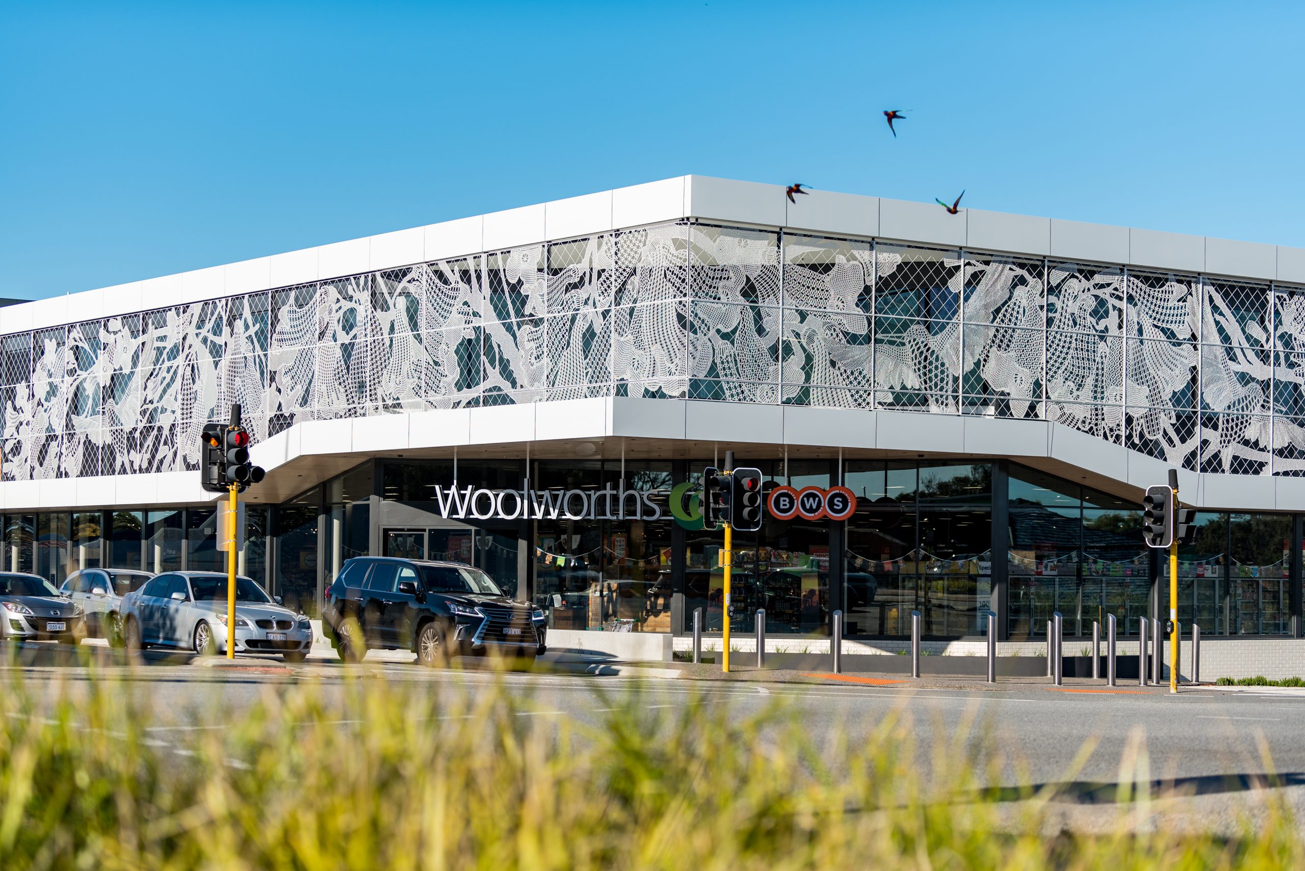 JACARANDA Mount Pleasant Woolworths Lace Fence