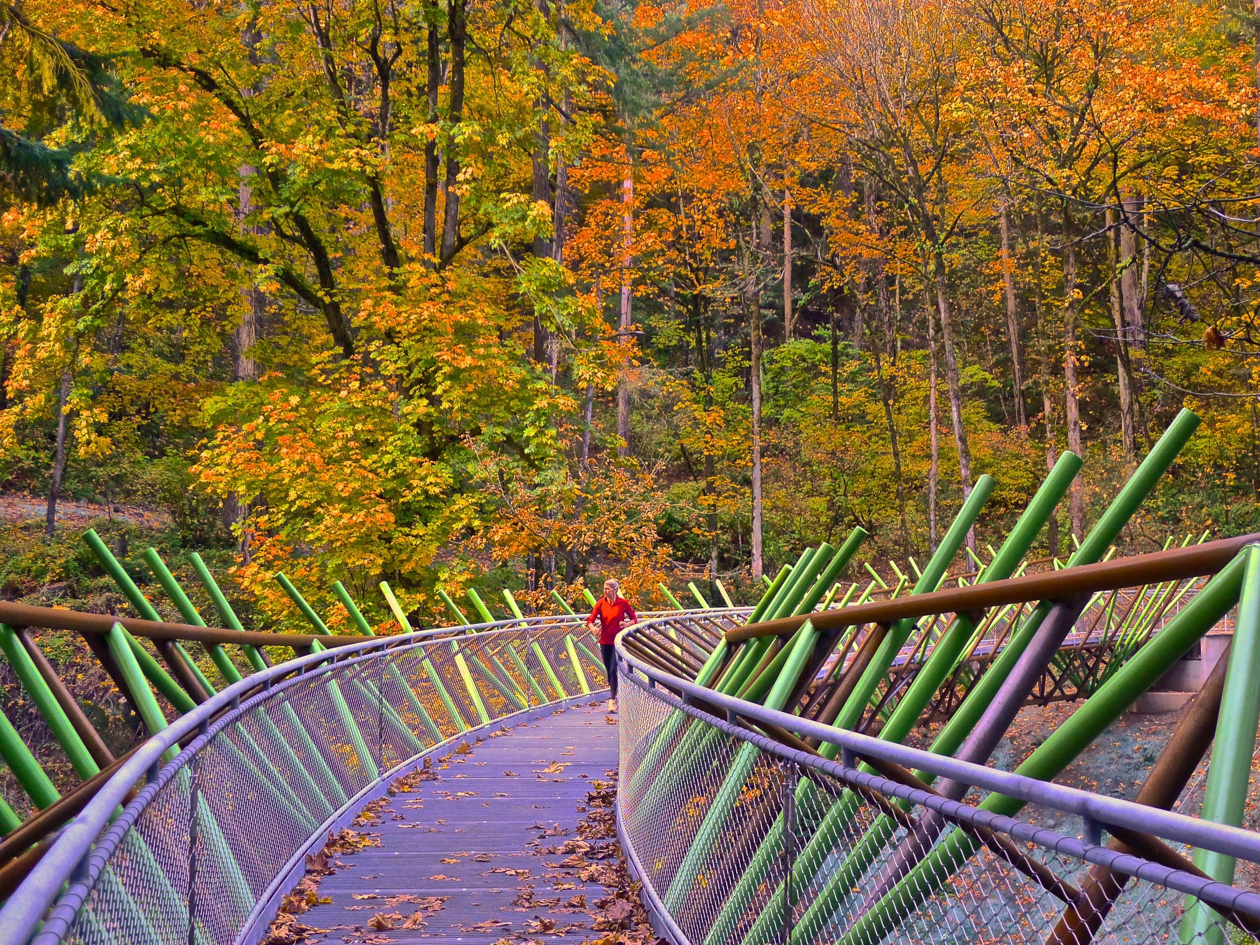 Barbara Walker Crossing