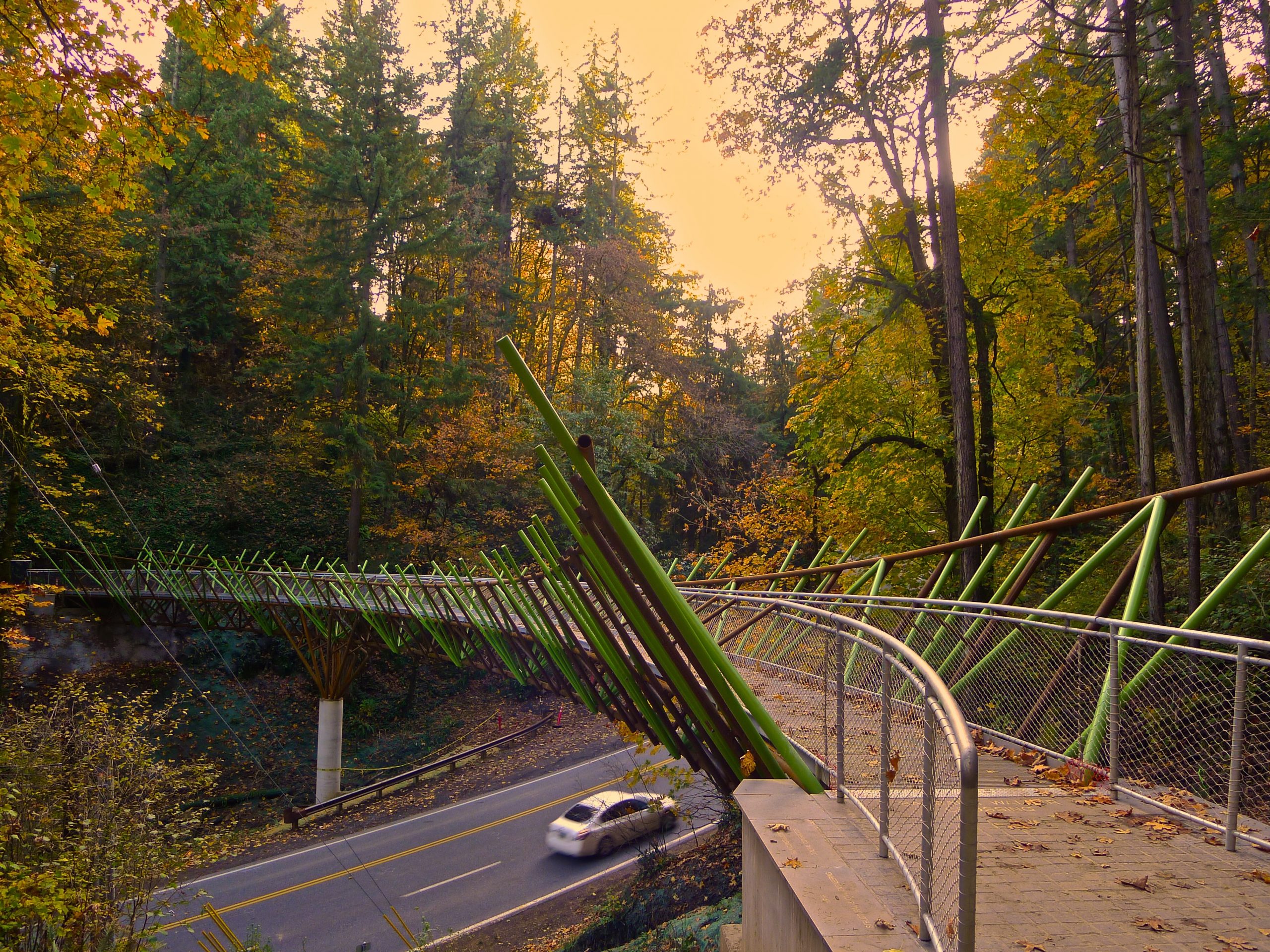 Barbara Walker Crossing