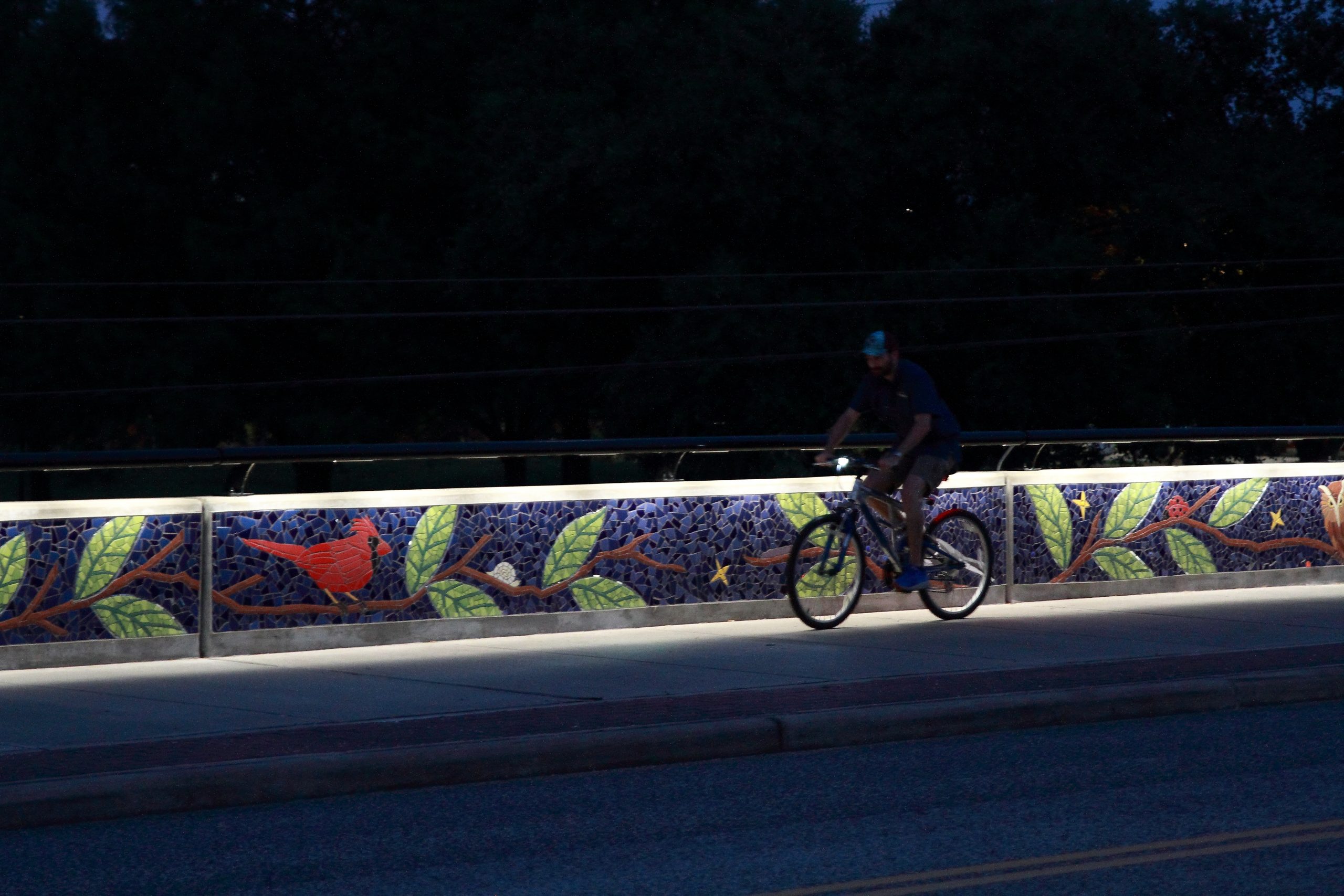 “Natural Rhythm” Brooks Street Bridge