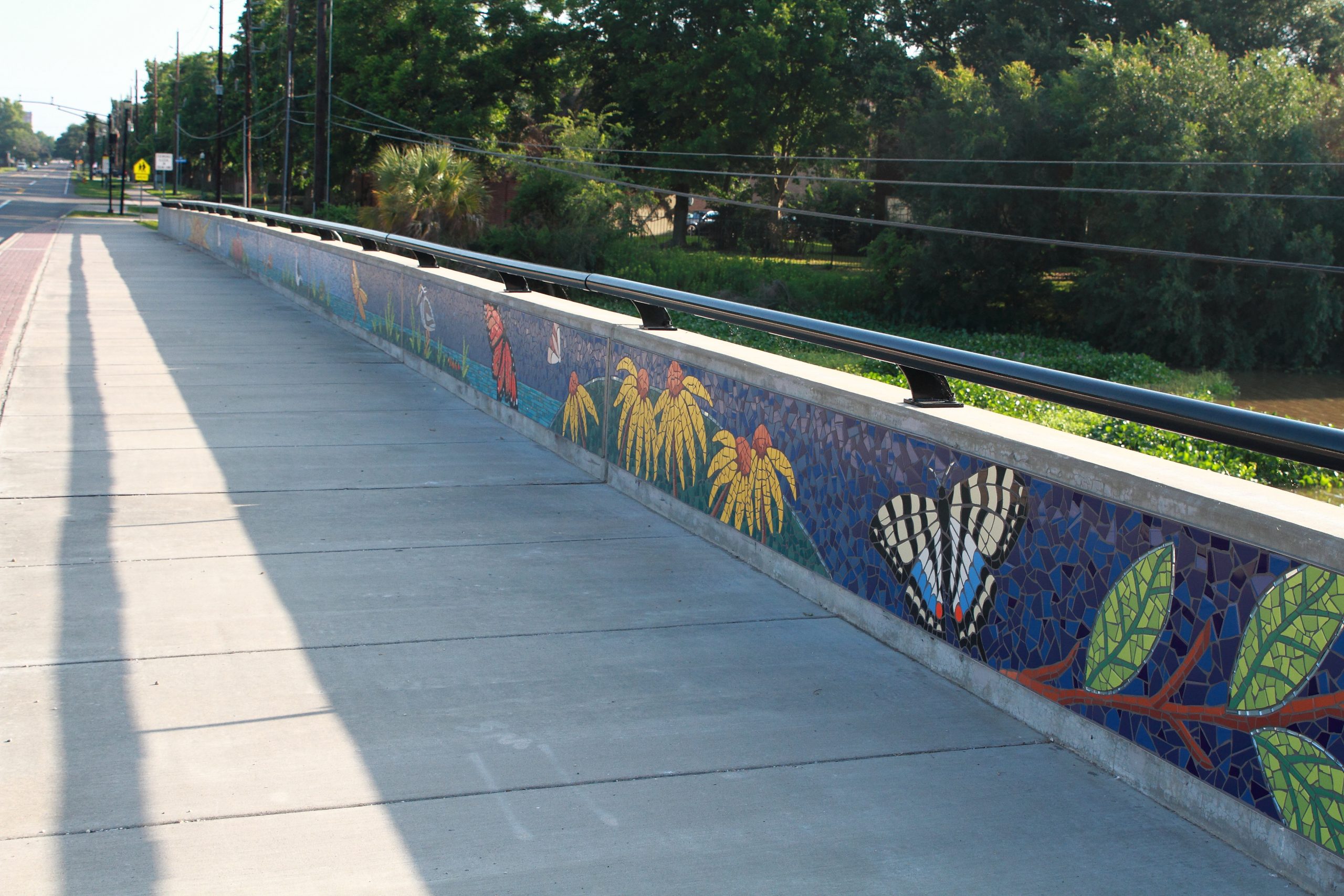 “Natural Rhythm” Brooks Street Bridge