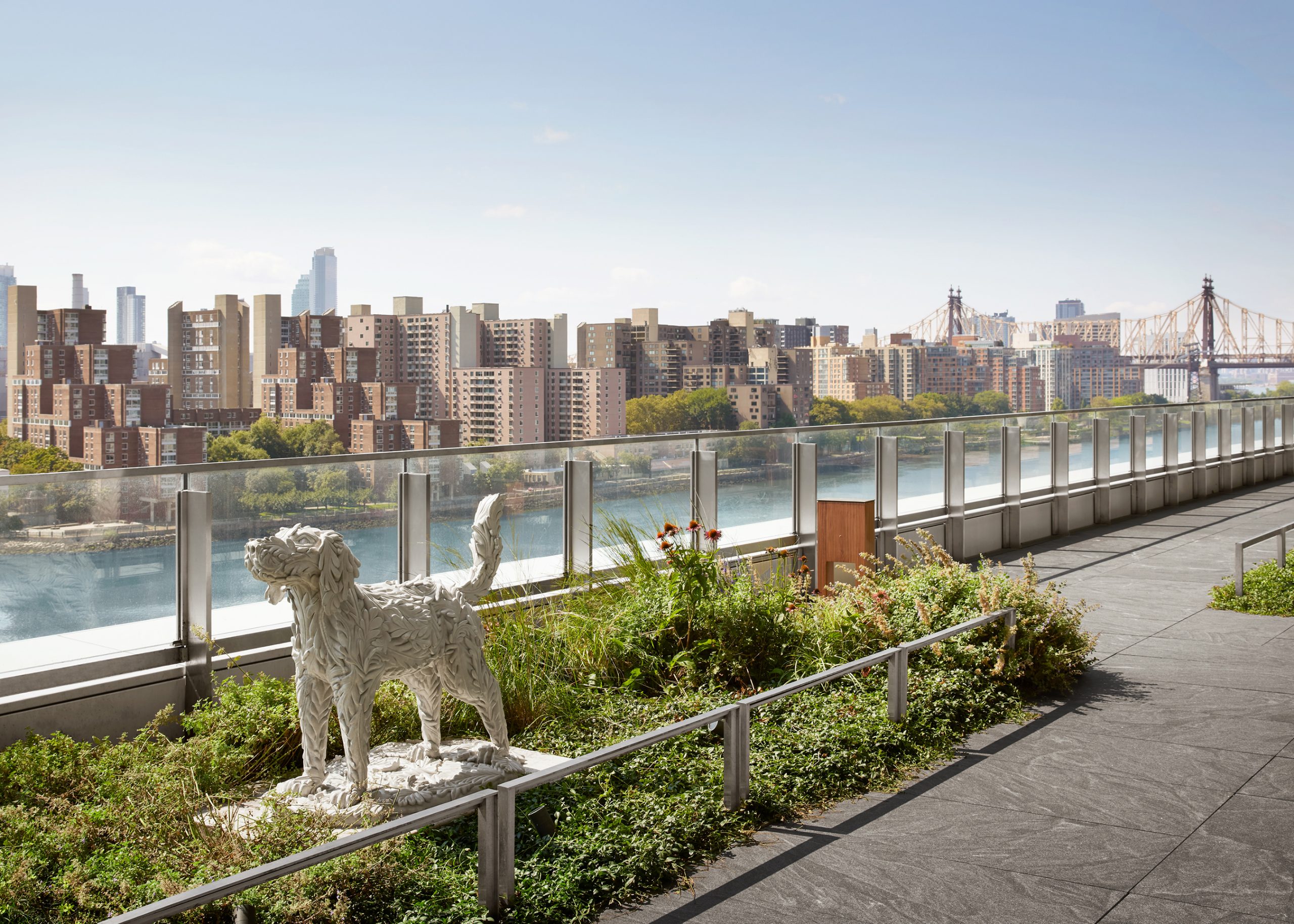 Kim Dickey Sculptures at Memorial Sloan Kettering’s David H. Koch Center for Cancer Care