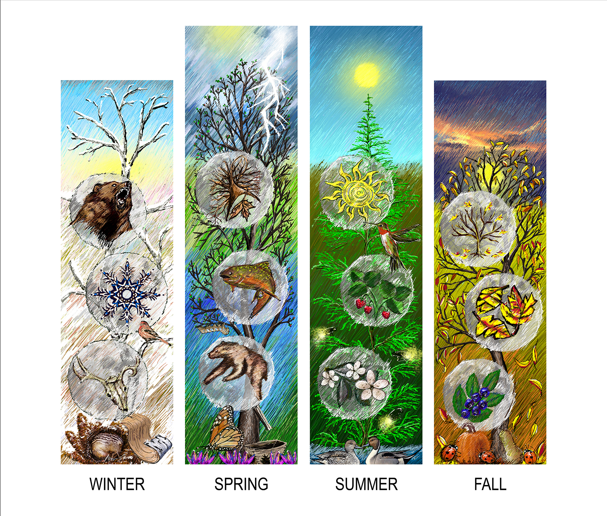 Seasons