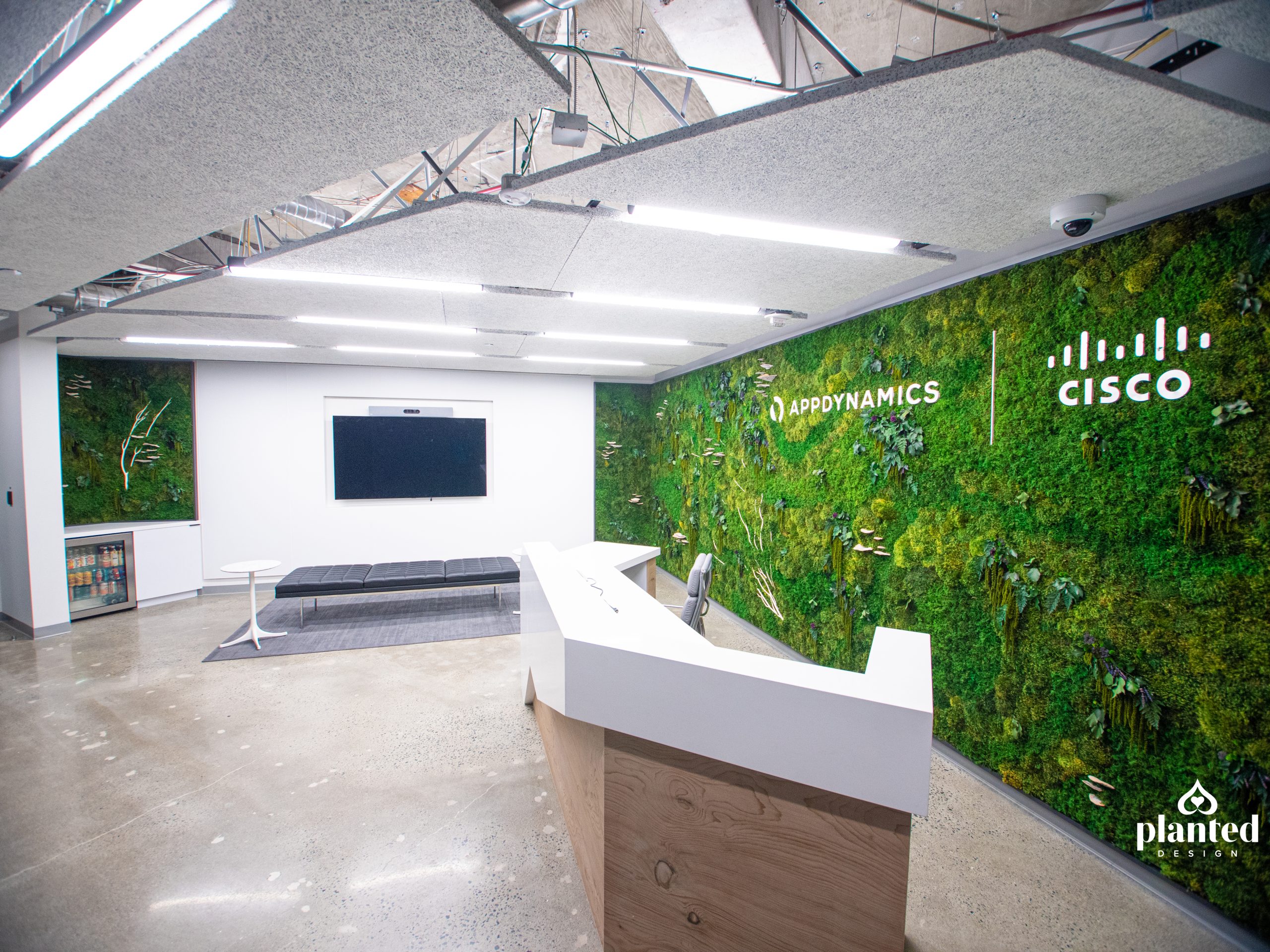 AppDynamics Moss Wall