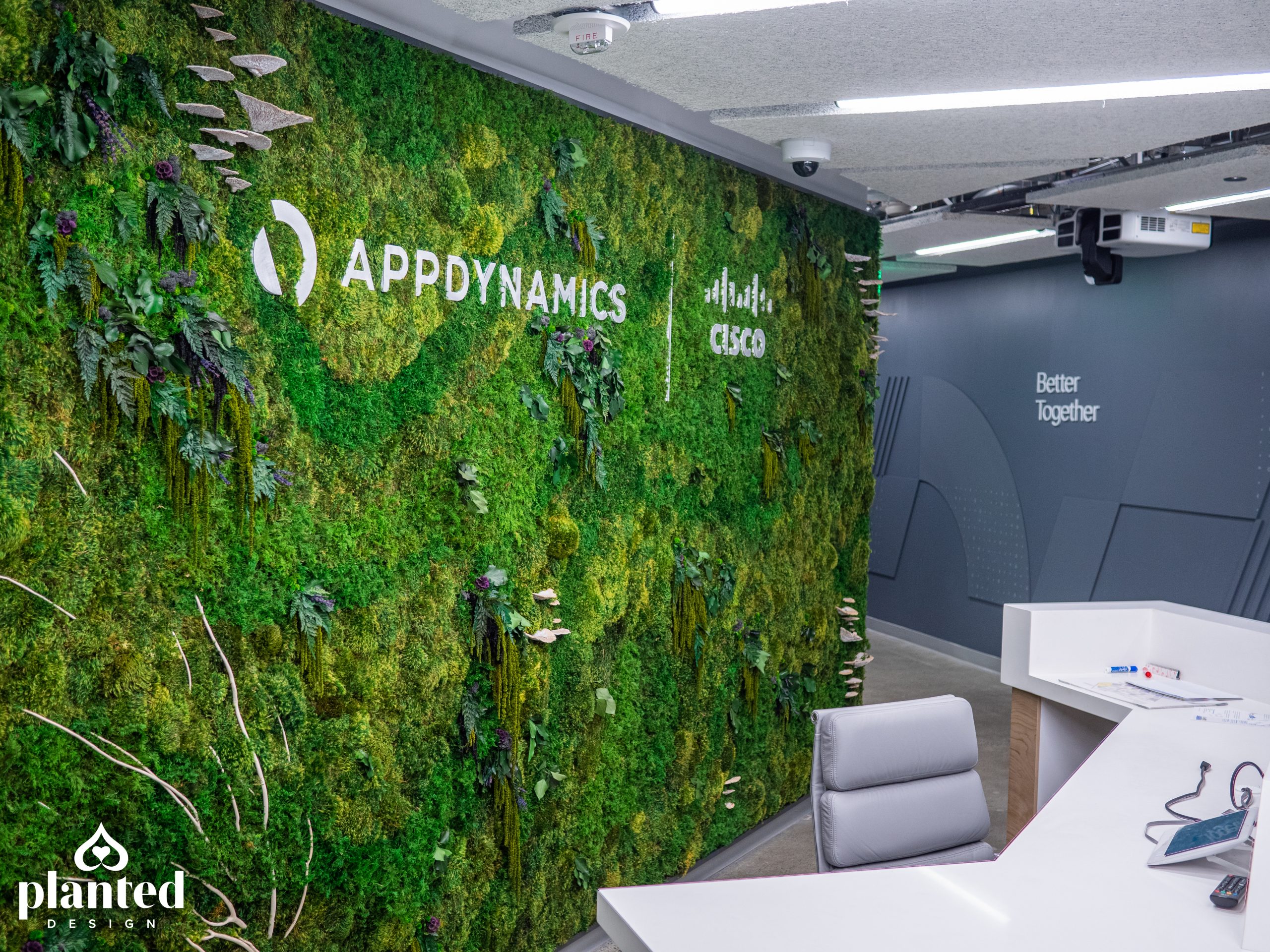 AppDynamics Moss Wall