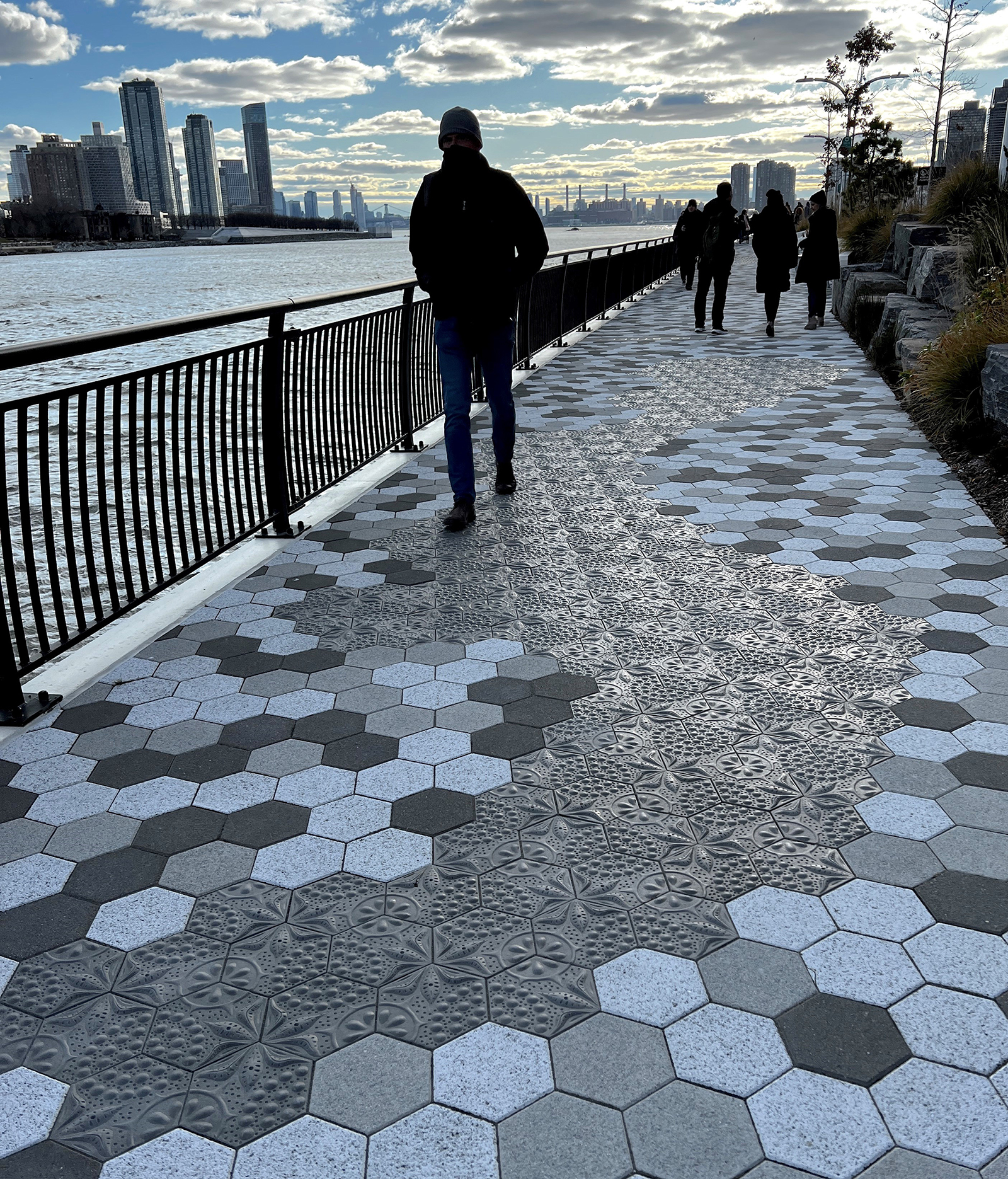 East Midtown Greenway – Diatom Lace